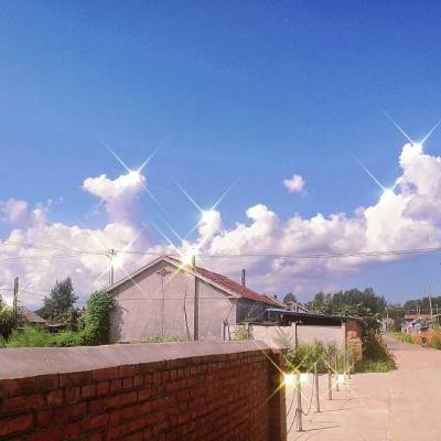 365在线手机app下载