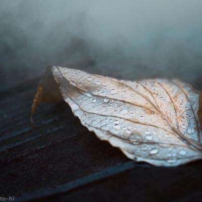 365在线手机app下载