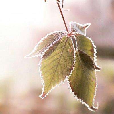 yabo官网网页版手机app下载